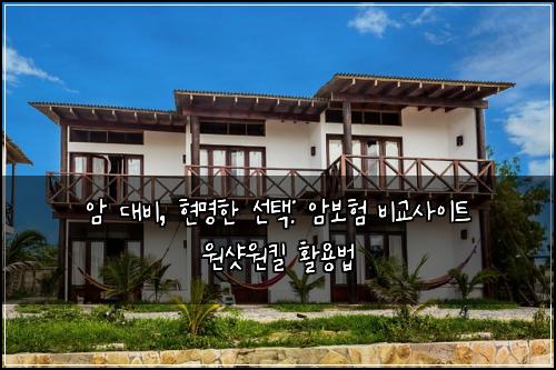 암 대비, 현명한 선택: 암보험 비교사이트 원샷원킬 활용법