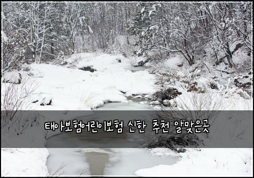 태아보험어린이보험 신한 추천 알맞은곳