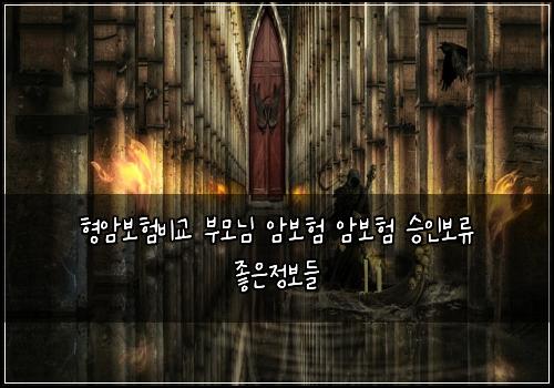 형암보험비교 부모님 암보험 암보험 승인보류 좋은정보들