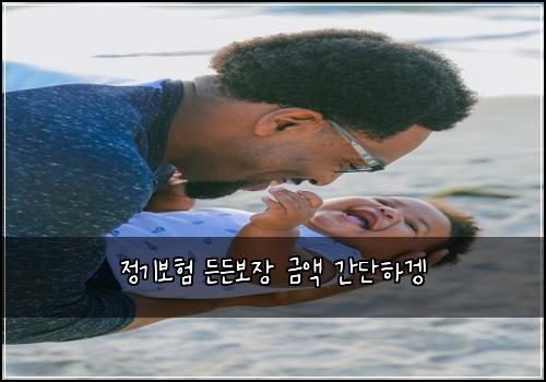 정기보험 든든보장  금액 간단하겡