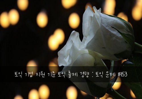 토익 기업 지원 기준 토익 출제 경향 : 토익 문제 #153