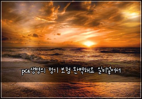 pcaμλͺ
μ μ κΈ° 보ν μλ²½ν΄μ μ€λΉλ£μ΄μ