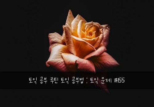 토익 공부 루틴 토익 공부법 : 토익 문제 #155
