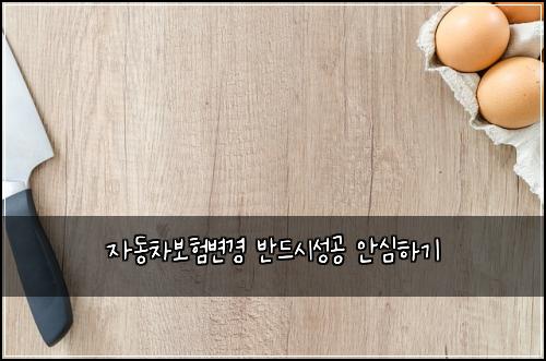 자동차보험변경 반드시성공 안심하기