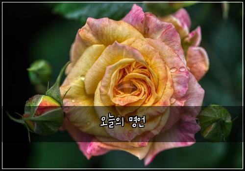 오늘의 명언