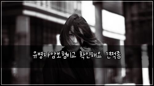 유병자암보험비교 확인해요 견적좀