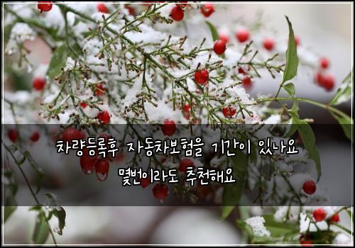 차량등록후 자동차보험을 기간이 있나요 몇번이라도 추천해요