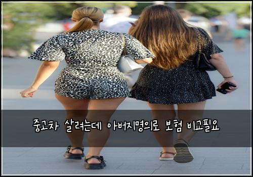 중고차 살려는데 아버지명의로 보험 비교필요 