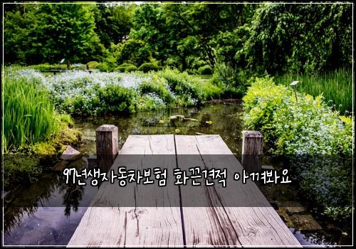 97λ
μμλ차보ν νλ견μ μκ»΄λ΄μ