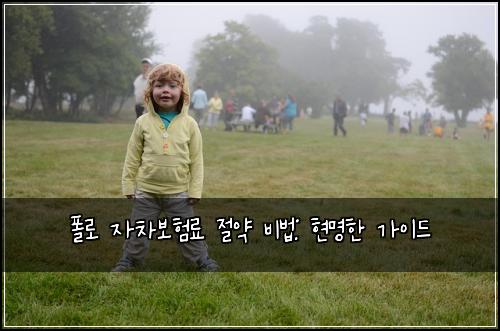  폴로 자차보험료 절약 비법: 현명한 가이드