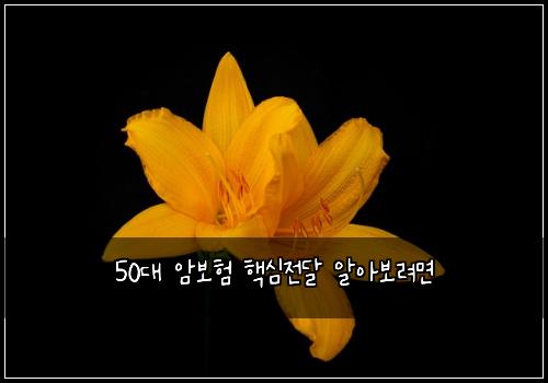 50대 암보험 핵심전달  알아보려면