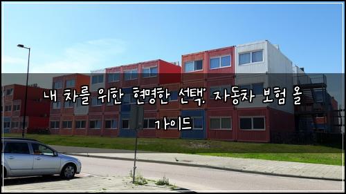  내 차를 위한 현명한 선택: 자동차 보험 올 가이드