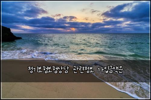 정기보험보험상담 관련정보 가입금액은