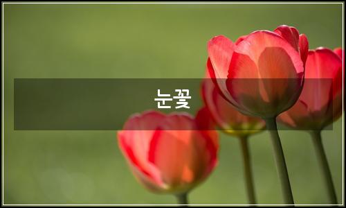 오늘의 이미지