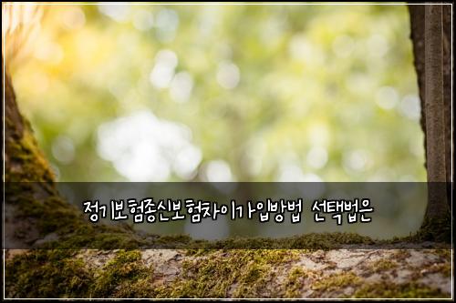정기보험종신보험차이가입방법 선택법은