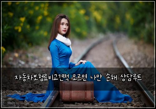 자동차보험료비교견적 모르면 나만 손해 상담루트
