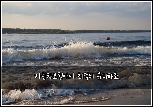 자동차보험아이 최적의 유리하죠
