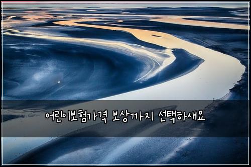 어린이보험가격 보상까지 선택하새요