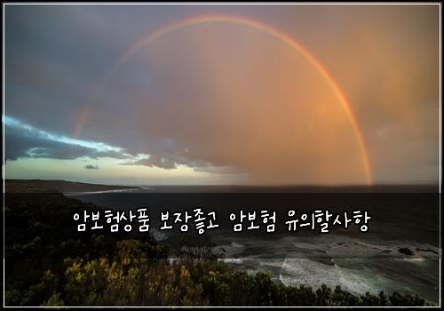์๋ณดํ์ํ ๋ณด์ฅ์ข๊ณ ์๋ณดํ ์ ์ํ ์ฌํญ
