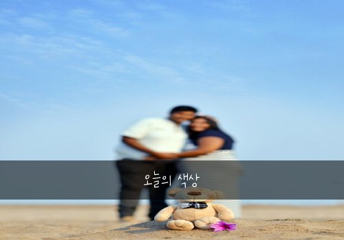 오늘의 색상