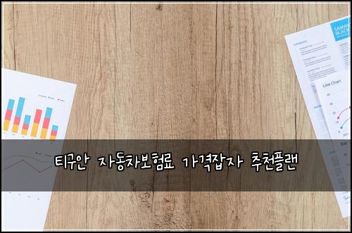 티구안 자동차보험료 가격잡자 추천플랜
