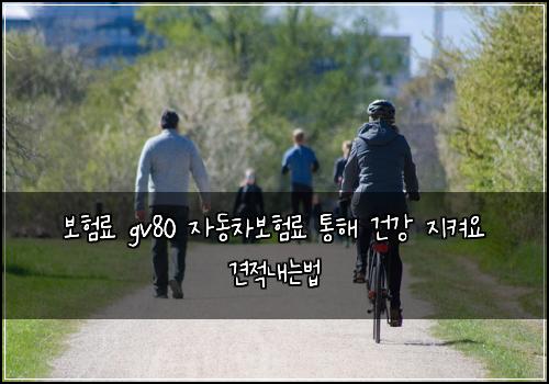 보험료 gv80 자동차보험료 통해 건강 지켜요 견적내는법