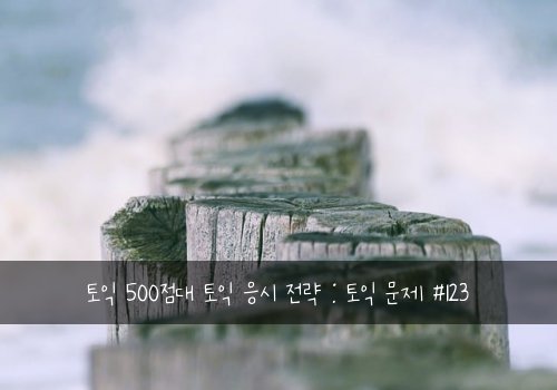 토익 500점대 토익 응시 전략 : 토익 문제 #123