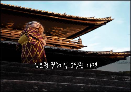 암보험 필수기억  소멸형 가격