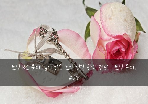 토익 RC 문제 풀이 연습 토익 성적 관리 전략 : 토익 문제 #124