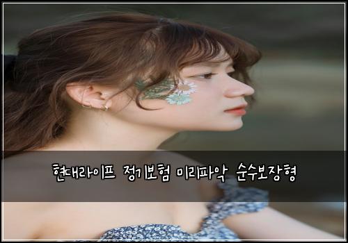 현대라이프 정기보험 미리파악  순수보장형
