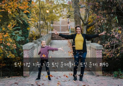 토익 기업 지원 기준 토익 문제풀이 : 토익 문제 #140