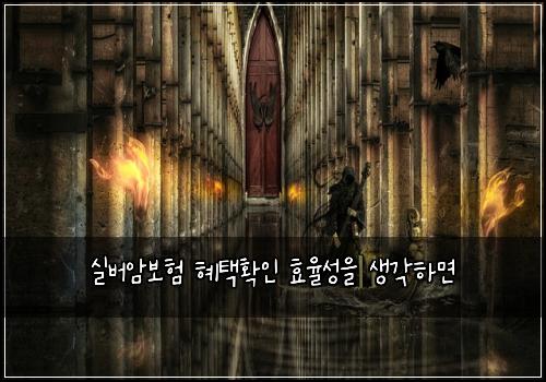 실버암보험 혜택확인  효율성을 생각하면