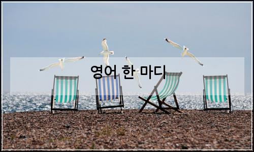 오늘의 이미지