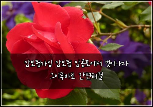 암보험가입 암보험 암공포에서 벗어나자 그이후바로 간편해결