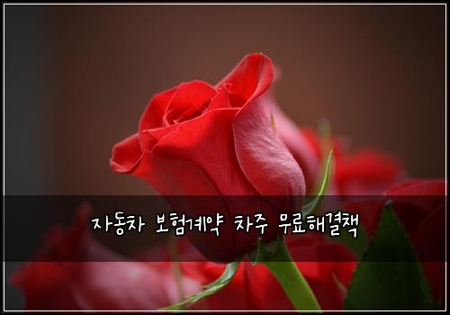자동차 보험계약 차주 무료해결책