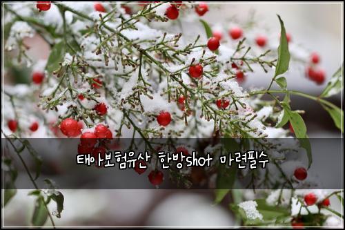태아보험유산 한방shot 마련필수