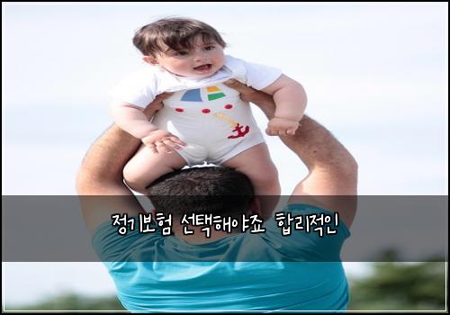정기보험 선택해야죠  합리적인