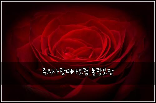 주의사항태아보험 통합보장 