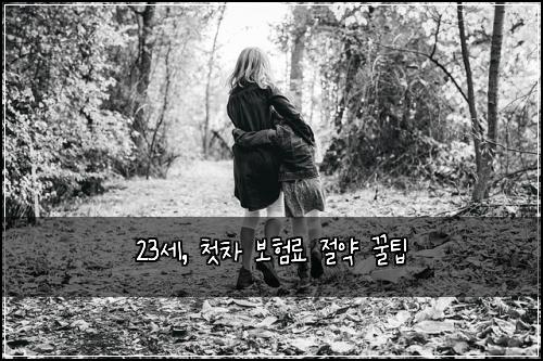 23세, 첫차 보험료 절약 꿀팁