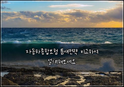 자동차종합보험 틈새전략  비교하여 설계해보세요