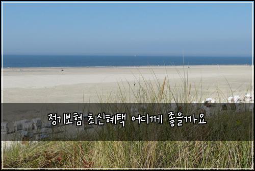 정기보험 최신혜택  어디께 좋을까요
