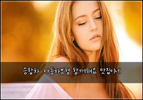 승합차 자동차보험 함께해요  맛집이네