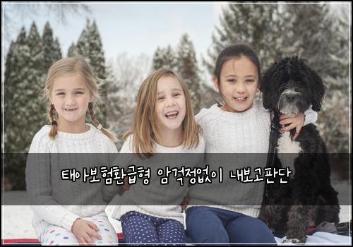 태아보험환급형 암걱정없이 내보고판단