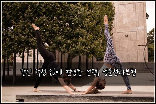  갱신 걱정 없이! 현명한 선택, 성운전자보험
