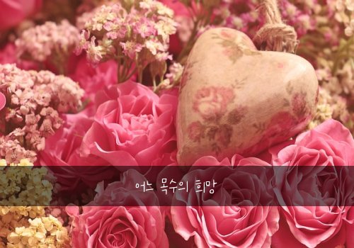 어느 목수의 희망