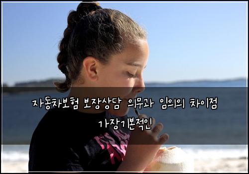 자동차보험 보장상담  의무과 임의의 차이점 가장기본적인