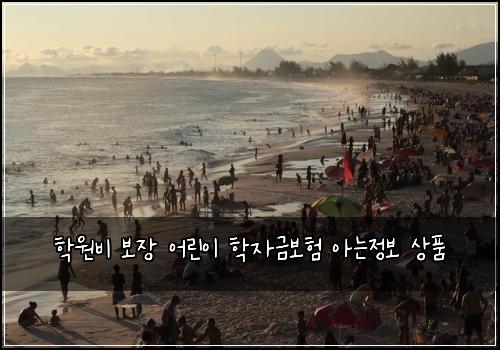 학원비 보장 어린이 학자금보험 아는정보  상품