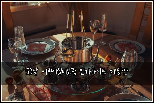 53살 어린이실비보험 인기사이트  제일싼
