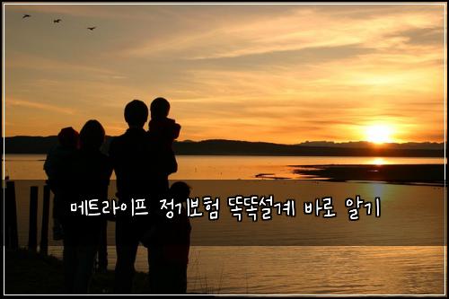 메트라이프 정기보험 똑똑설계  바로 알기