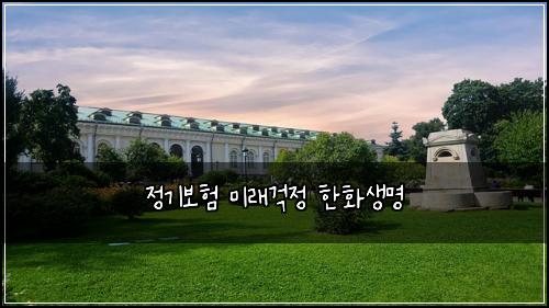정기보험 미래걱정  한화생명
